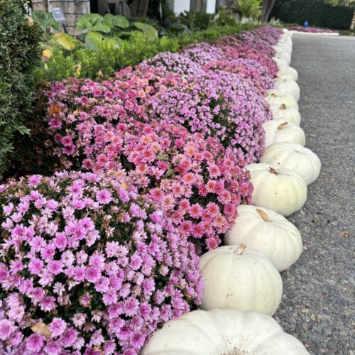 Autumn at the Dallas Arboretum